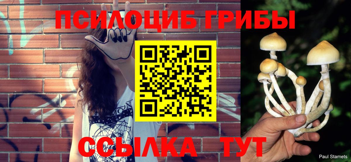 Галлюциногенные грибы Magic Shrooms Саратов