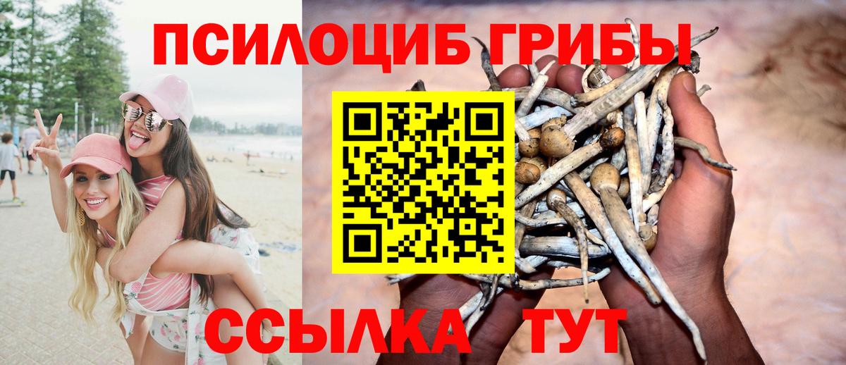 Псилоцибиновые грибы GOLDEN TEACHER  Галлюциногенные грибы мицелий  Саратов  Вход с VPN 